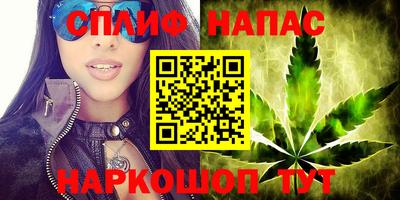 ECSTASY Нальчик