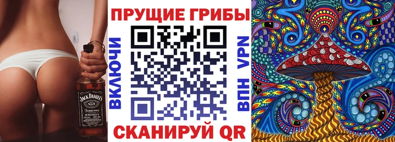 наркошоп  Норильск  Галлюциногенные грибы GOLDEN TEACHER 