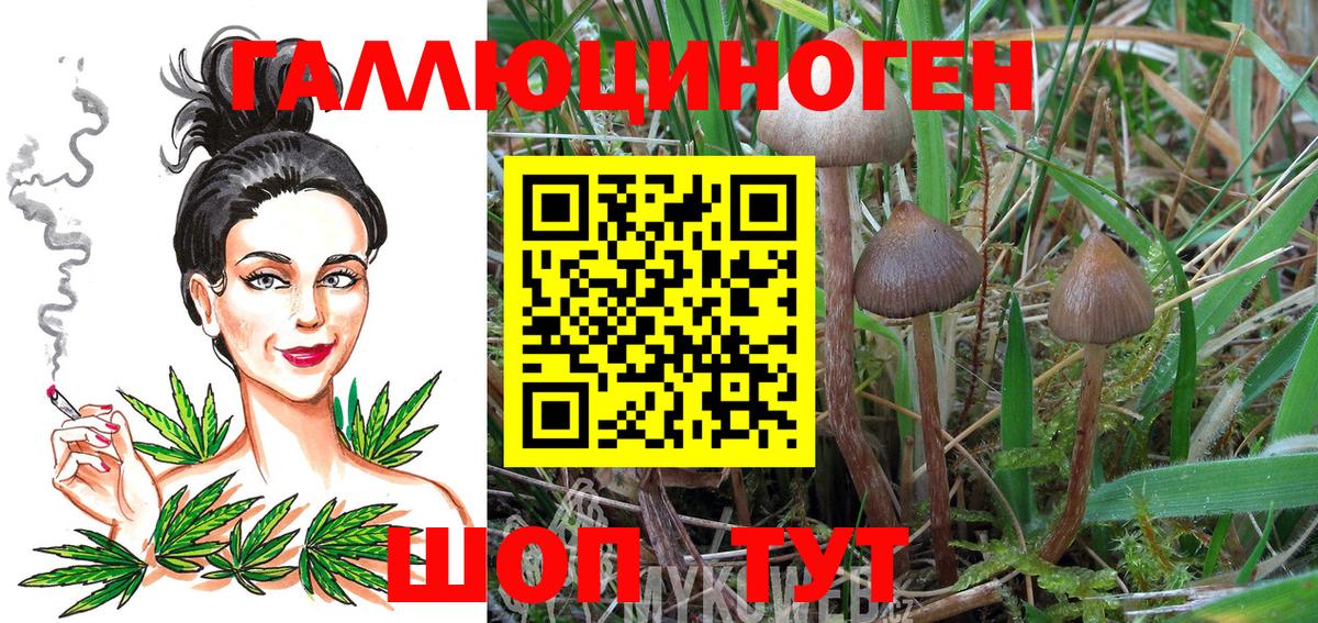Псилоцибиновые грибы Magic Shrooms  Вход с VPN  Норильск 