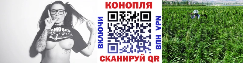 Бошки марихуана MAZAR  цены наркотик  kraken онион  Норильск 